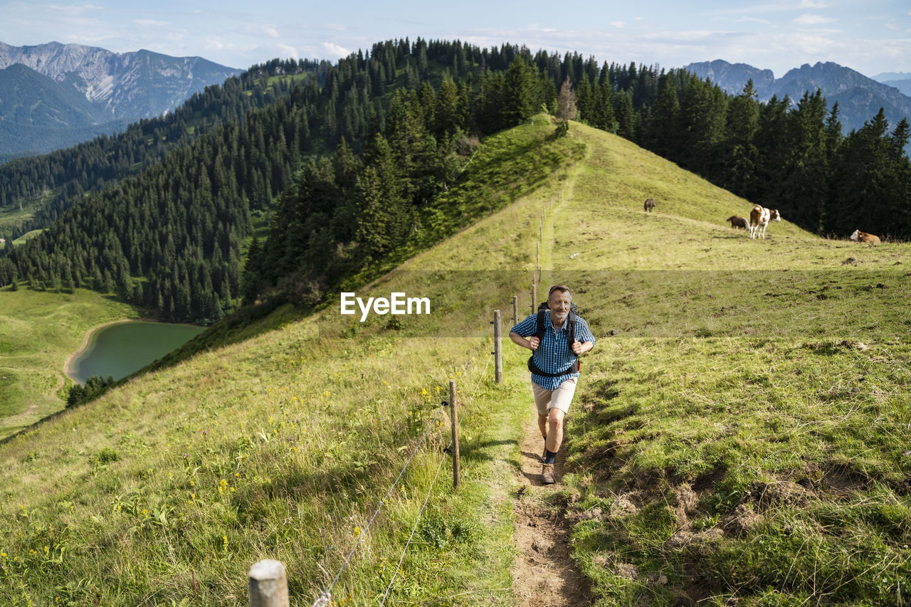 Male hiker hiking on mountain trail during sunny day