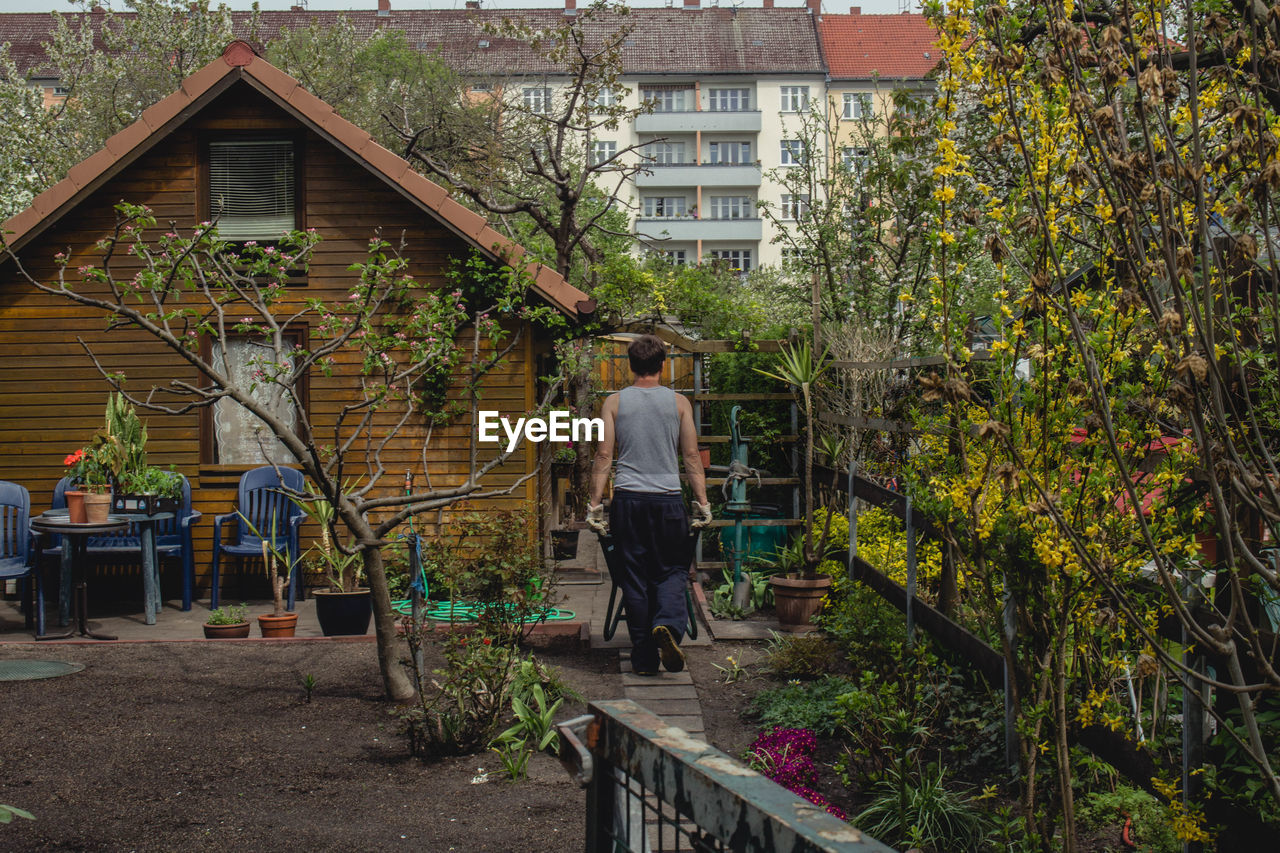 Rear view of man gardening at back yard