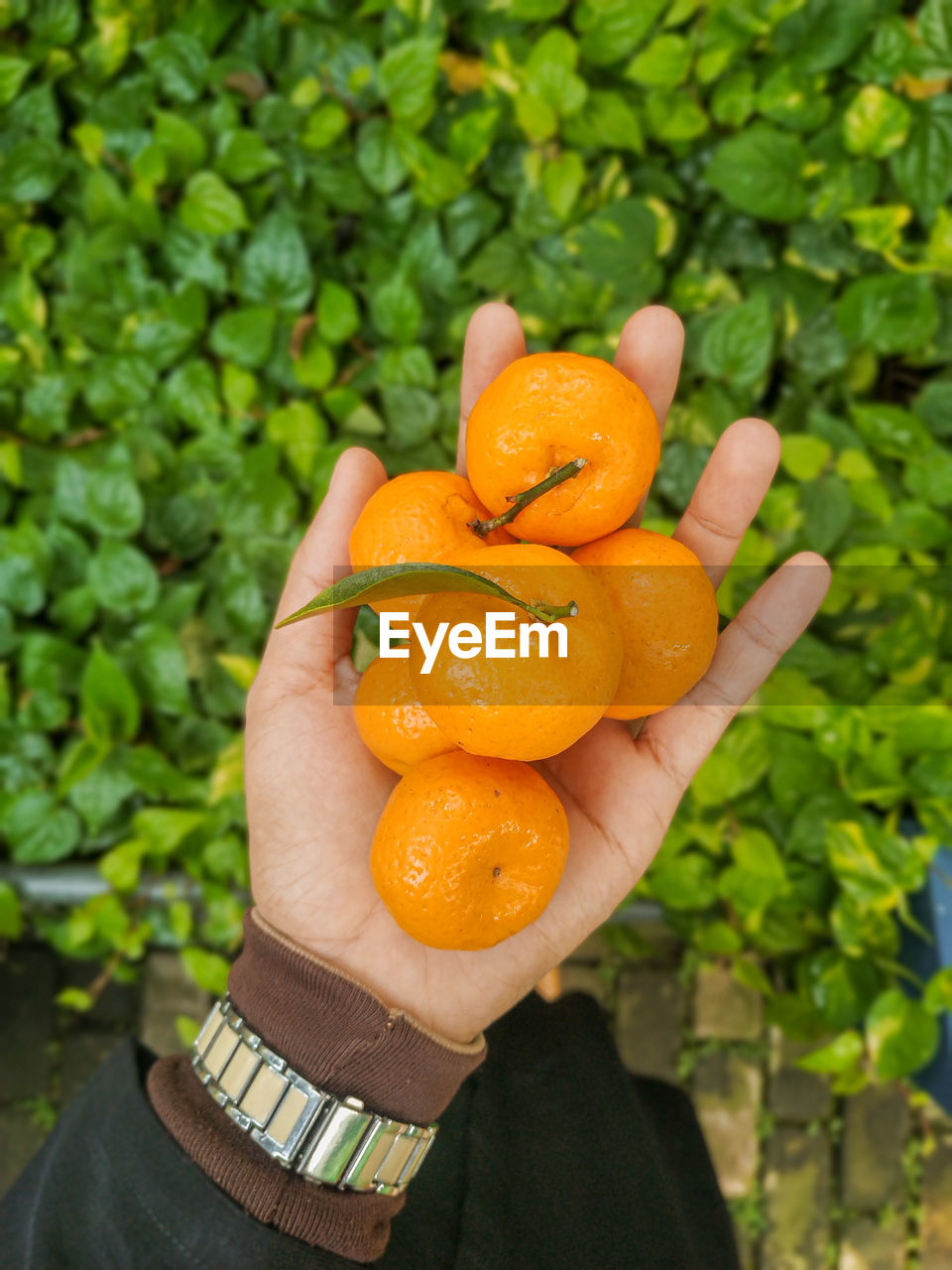 Cropped image of hand holding orange