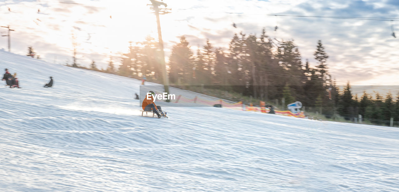 Young man sledding. winter day in winterberg. sunshine. motion blur and copy space.