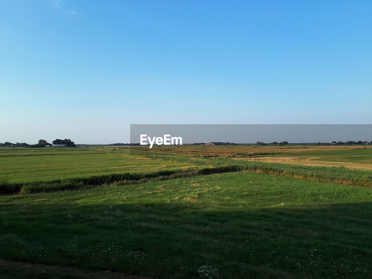 SCENIC VIEW OF FARM AGAINST SKY