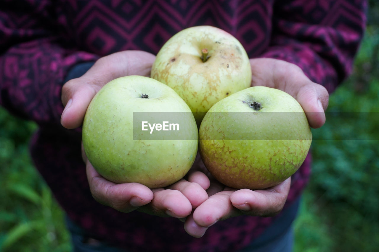 CLOSE-UP OF APPLES IN APPLE