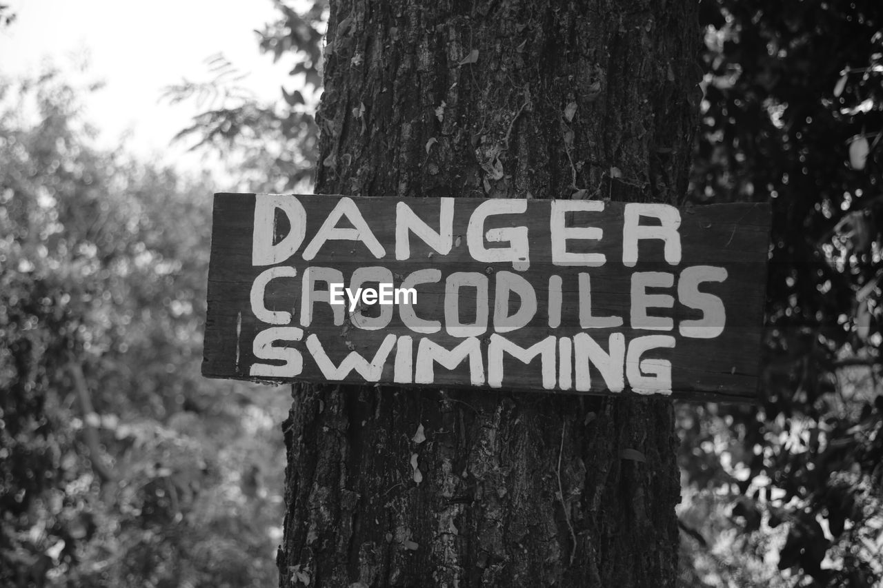 CLOSE-UP OF INFORMATION SIGN AGAINST TREE TRUNK