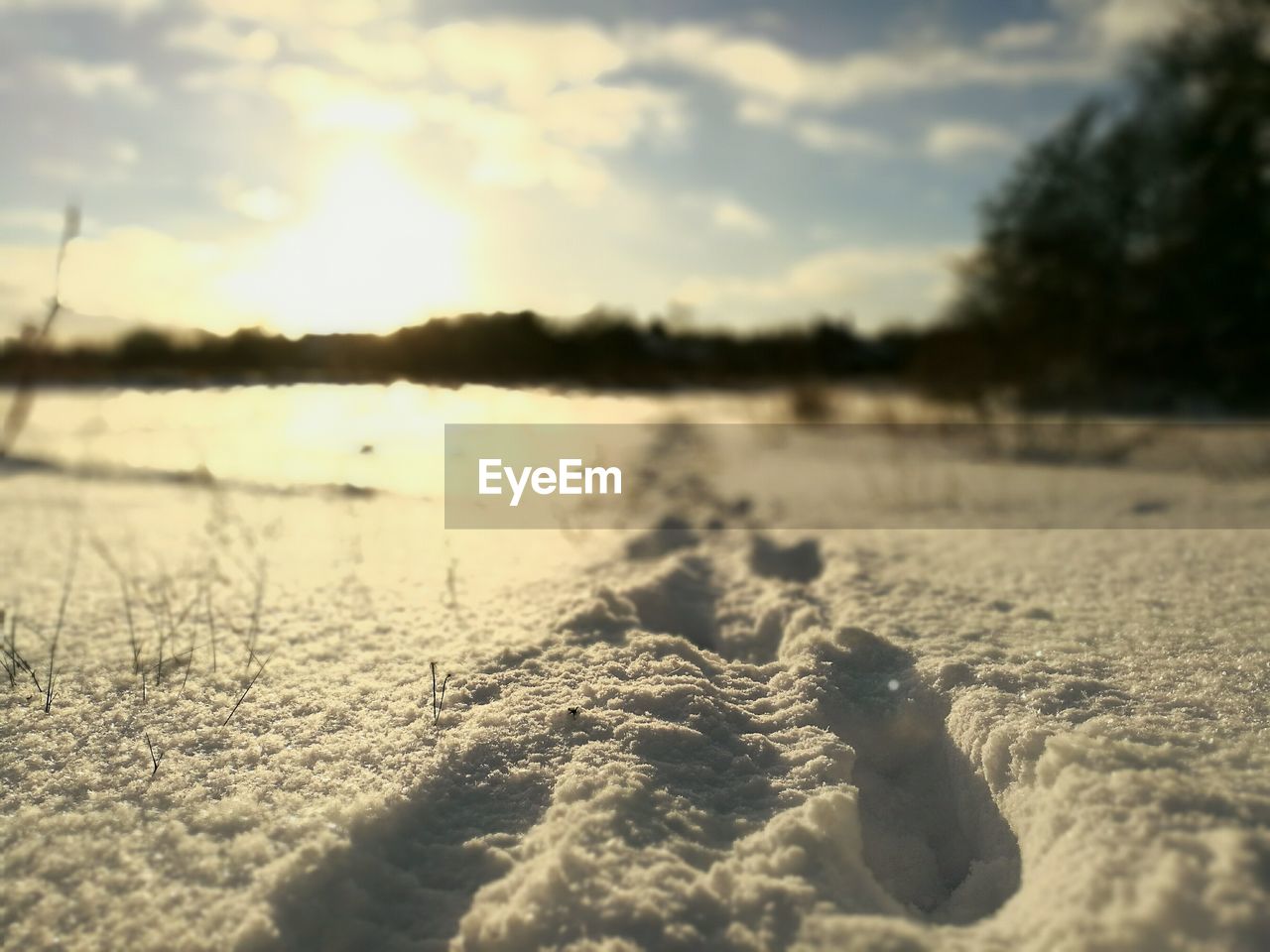 Close-up of snow