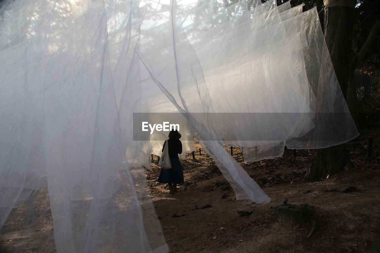 Rear view of woman amidst plastic hanging at forest