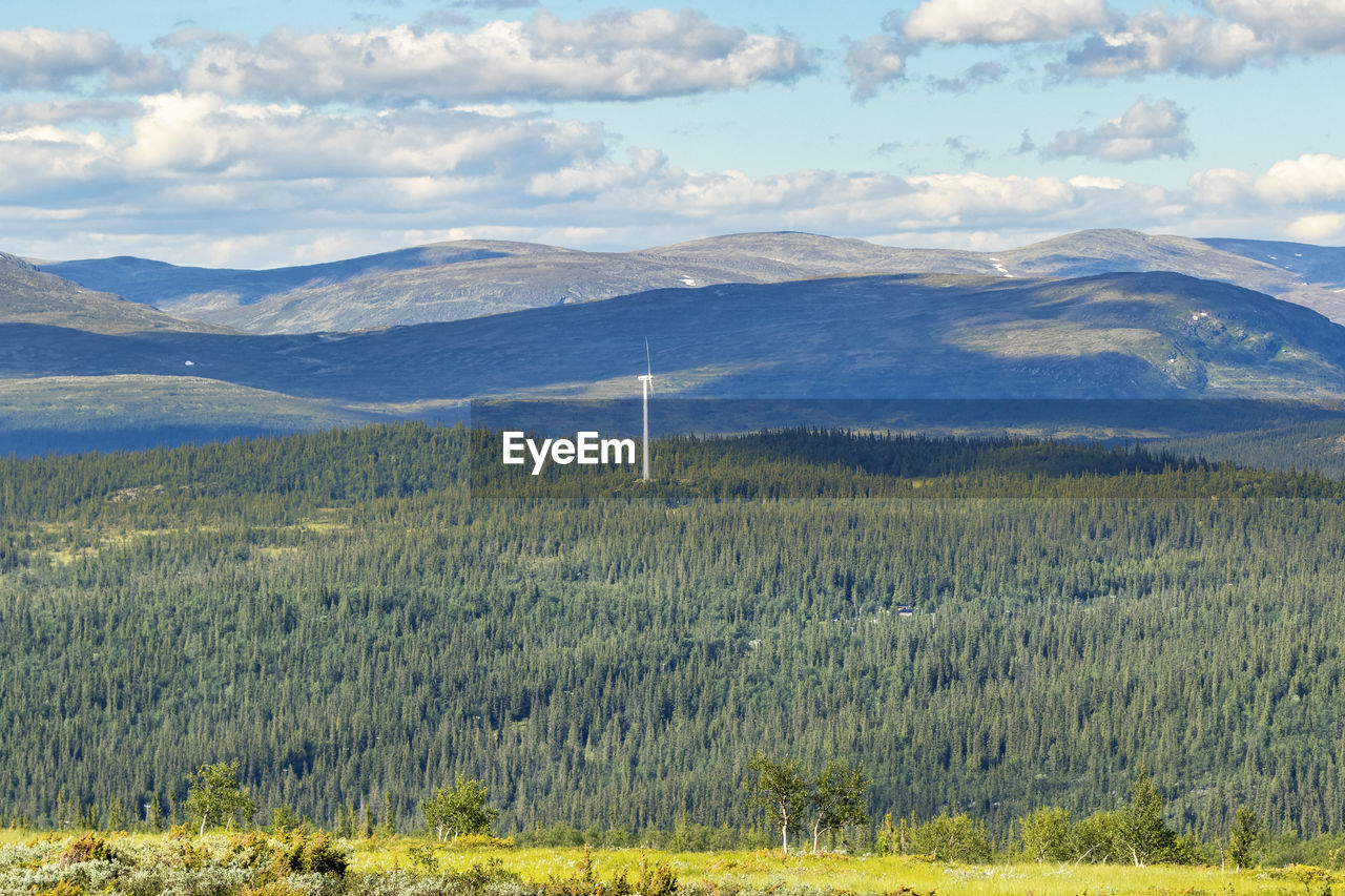 Wind turbine in a woodland landscape