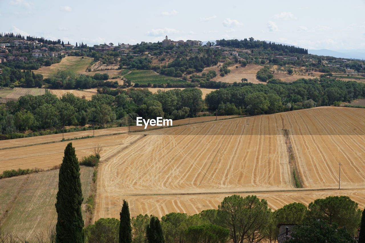 HIGH ANGLE VIEW OF VINEYARD AGAINST SKY