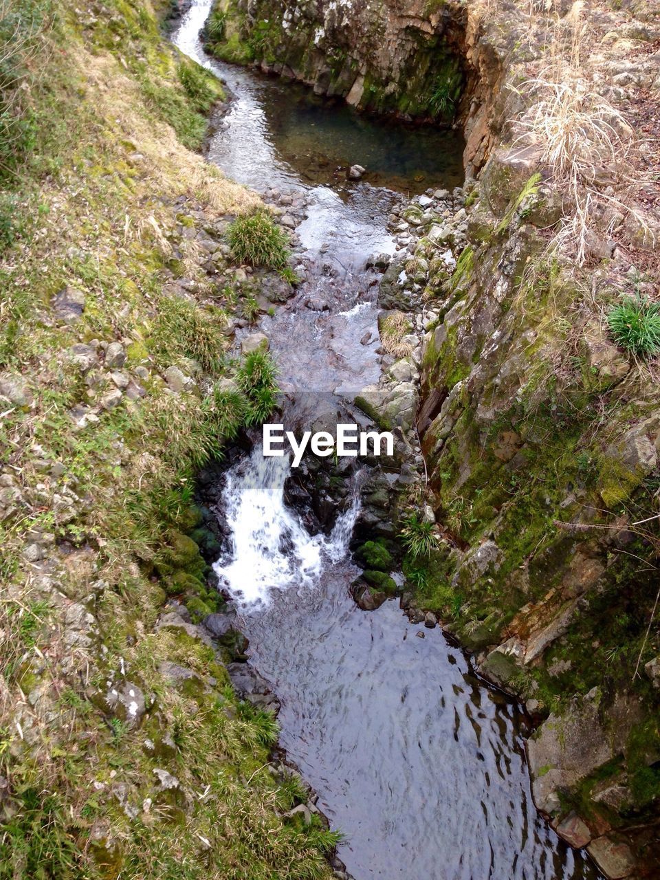 STREAM AMIDST TREES IN PARK