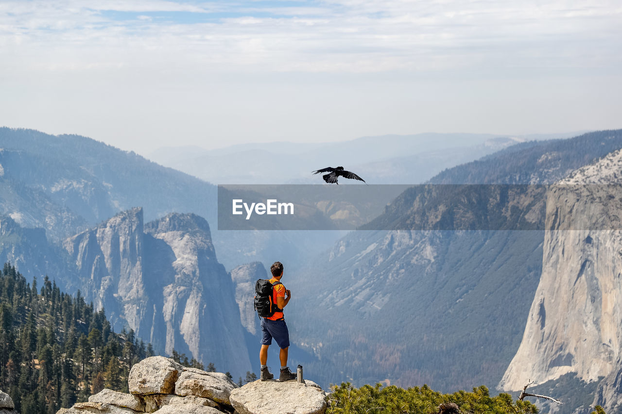 Man looking at bird while standing against mountains