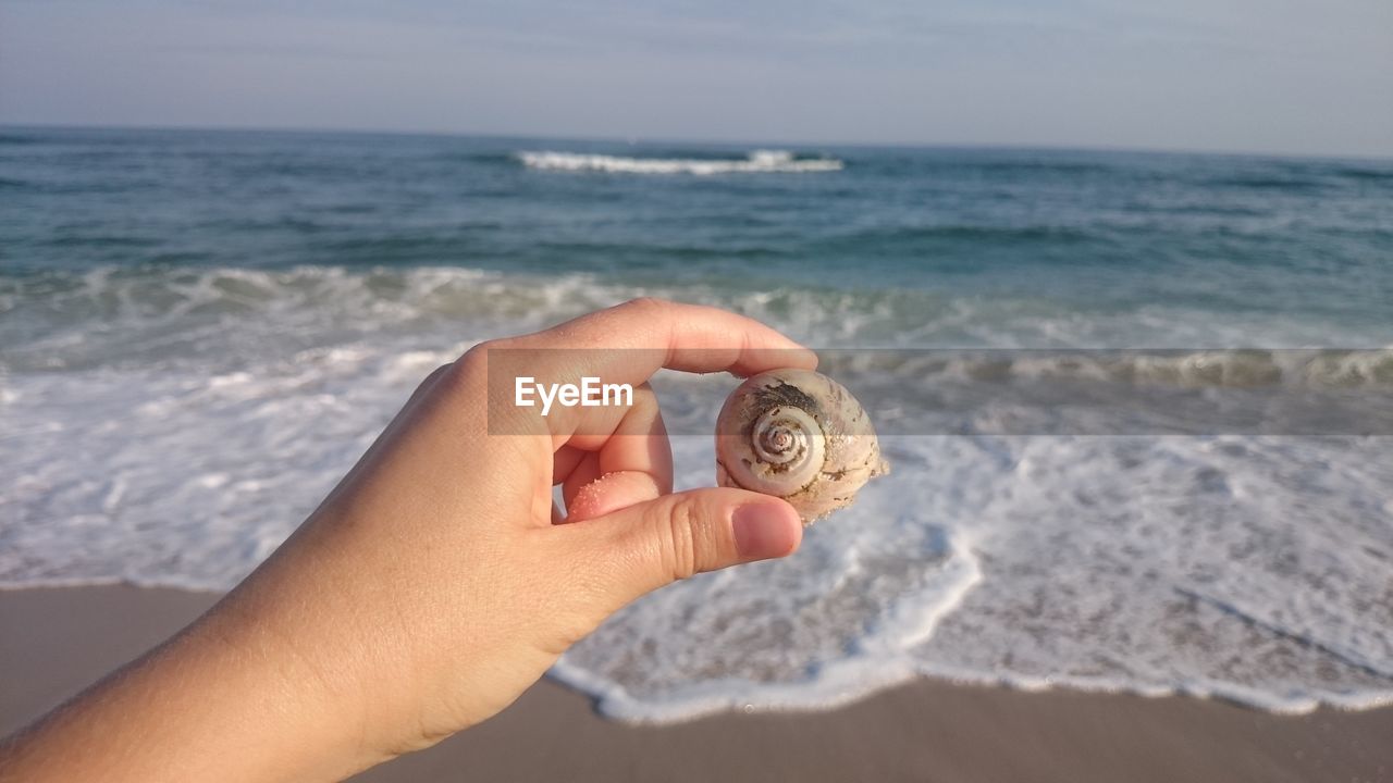 Cropped image of person holding seashell against sea at beach