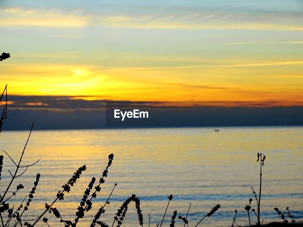 SCENIC VIEW OF SEA DURING SUNSET