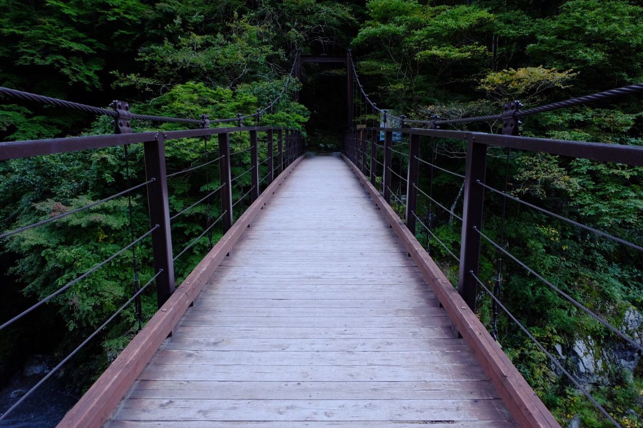 Empty wooden bridge