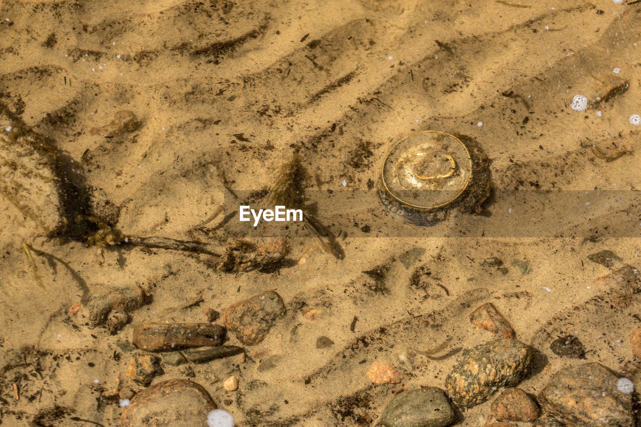 FULL FRAME SHOT OF SAND