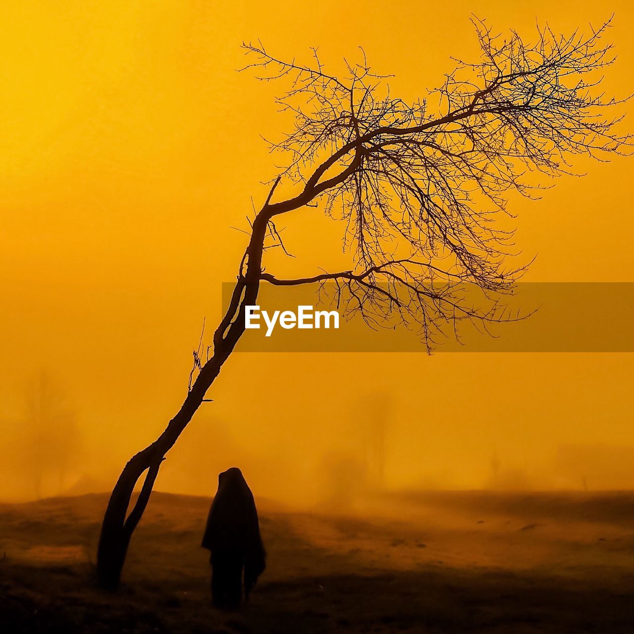 Silhouette person standing by bare tree on field against orange sky