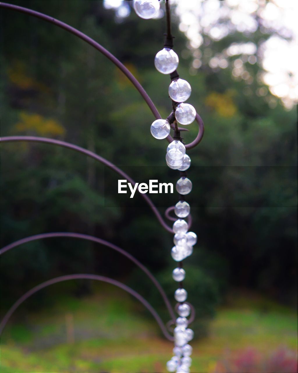 Low angle view of light bulbs hanging on metal against trees