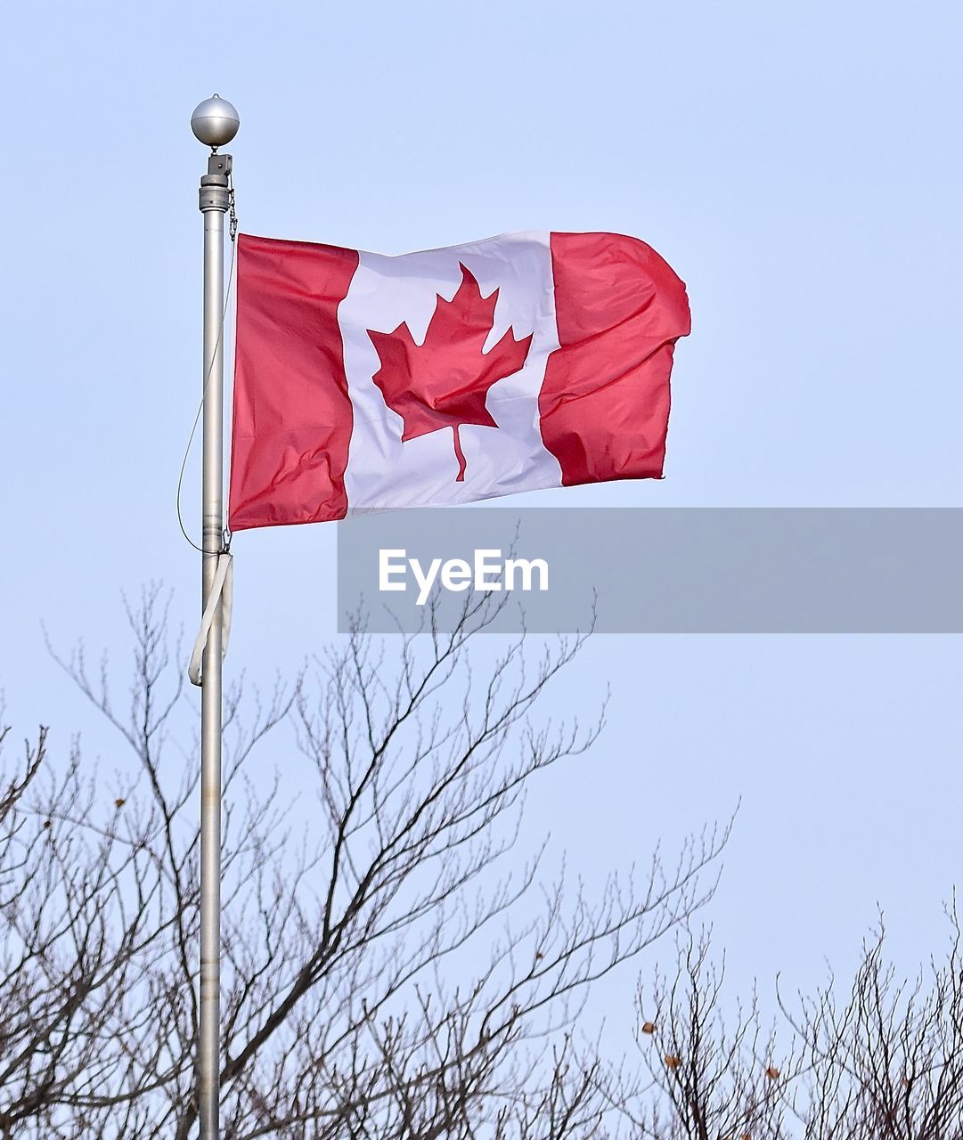 LOW ANGLE VIEW OF FLAG FLAGS AGAINST SKY