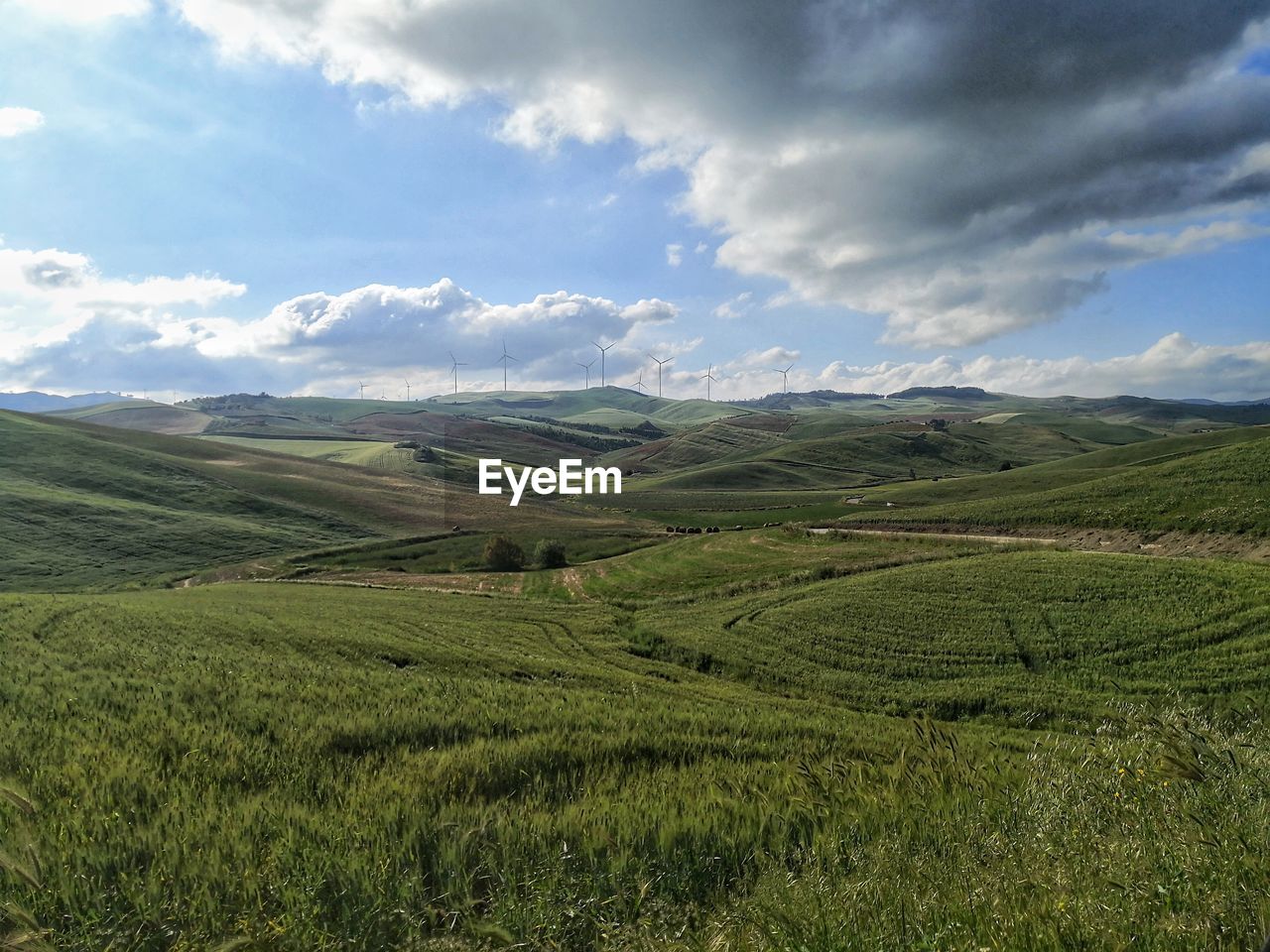 SCENIC VIEW OF FARMS AGAINST SKY