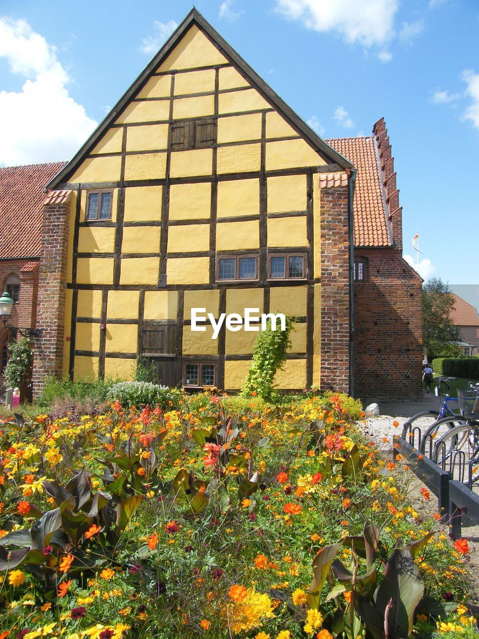 VIEW OF FLOWERING PLANTS AGAINST BUILDINGS