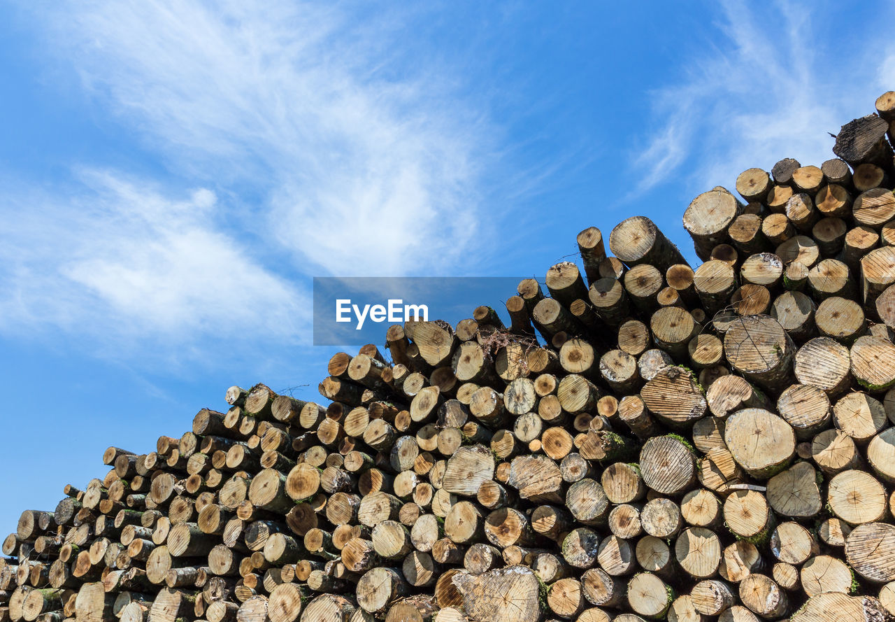 STACK OF LOGS BY STONE WALL AGAINST SKY