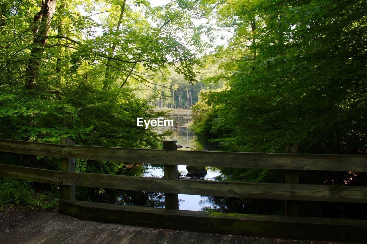 FOOTBRIDGE OVER RIVER IN FOREST