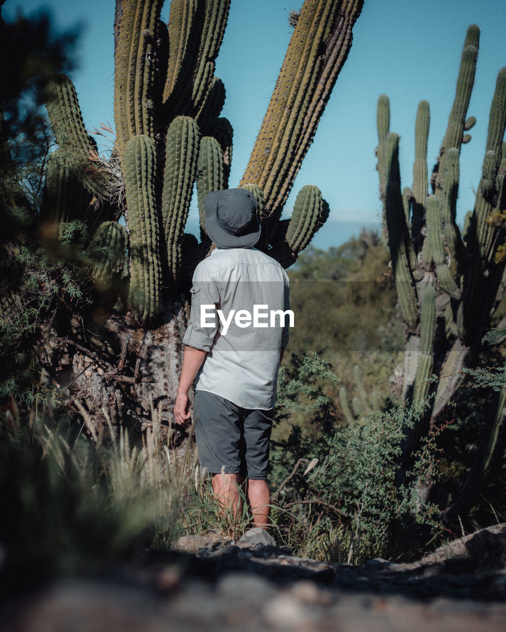 REAR VIEW OF MAN STANDING ON CACTUS