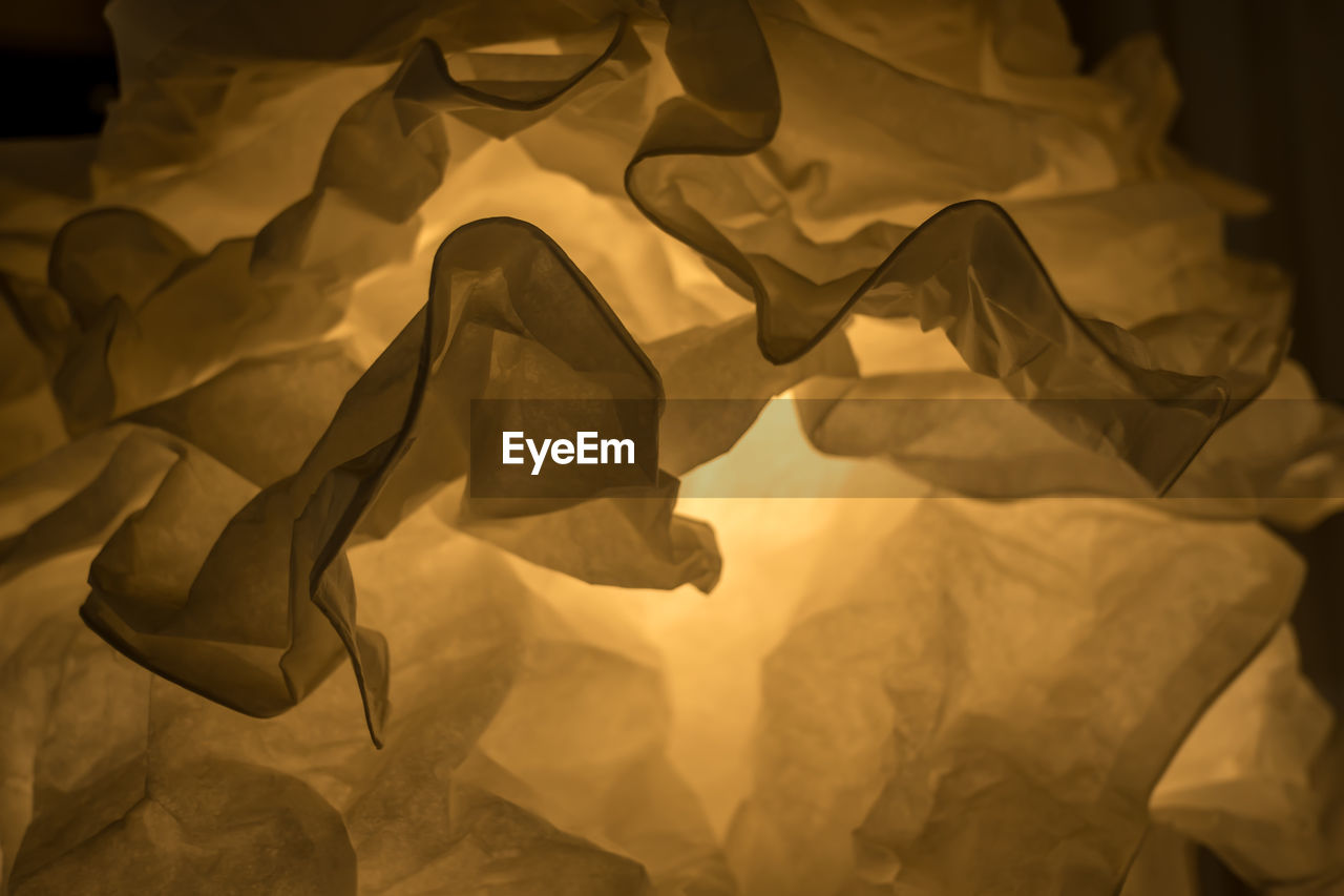 High angle view of dried leaves on bed