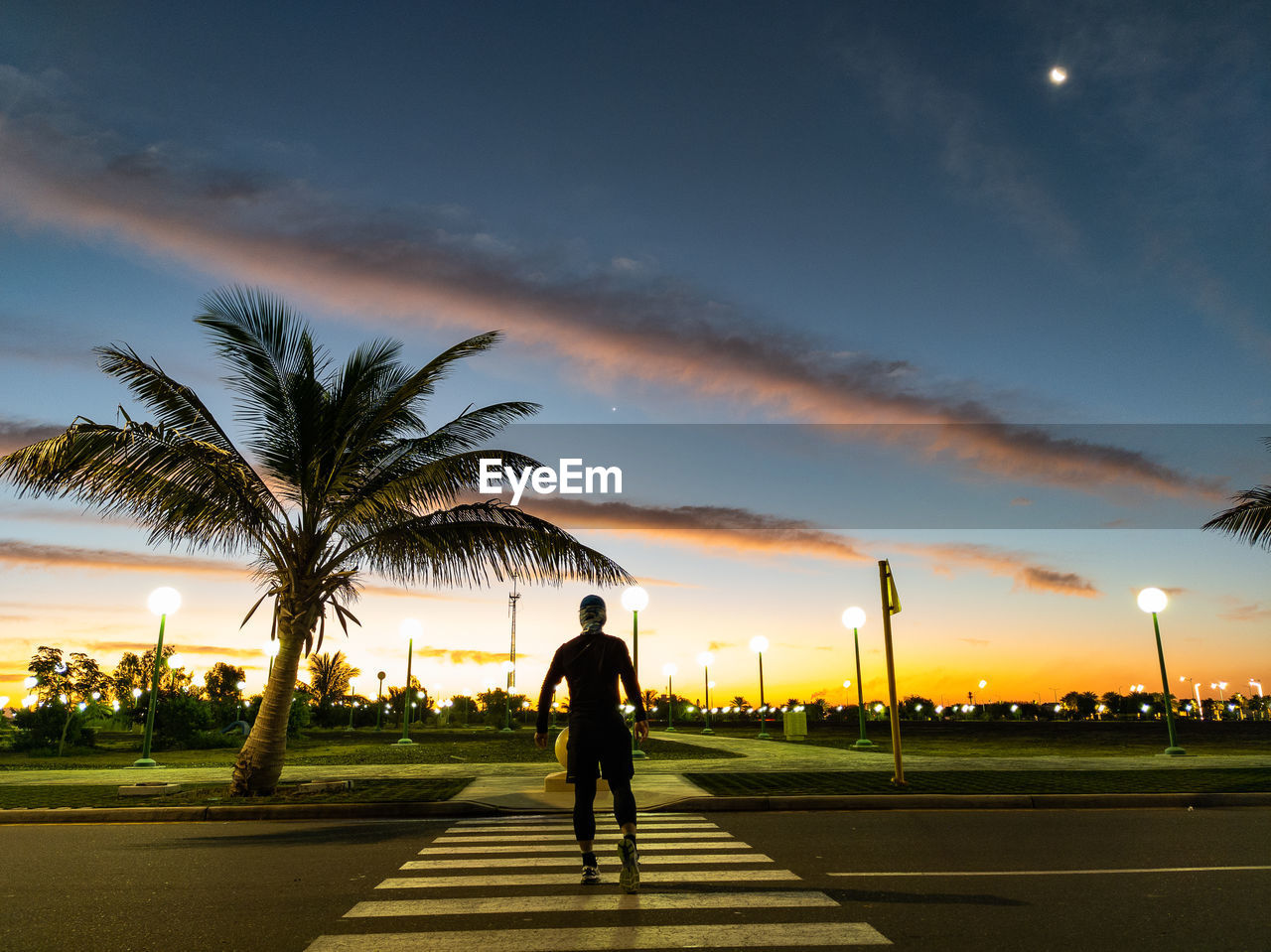 palm tree, sky, tropical climate, sunset, evening, tree, nature, sunlight, horizon, full length, dusk, cloud, silhouette, plant, one person, adult, street, walking, men, city, outdoors, footpath, road, lifestyles, sun, transportation, sports, leisure activity, rear view, travel destinations, coconut palm tree, shadow, motion