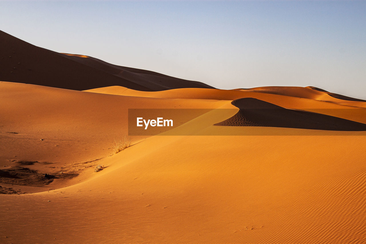 Sahara desert landscape in morocco, africa.light and shadows, mythical arabic desert gold sand dunes