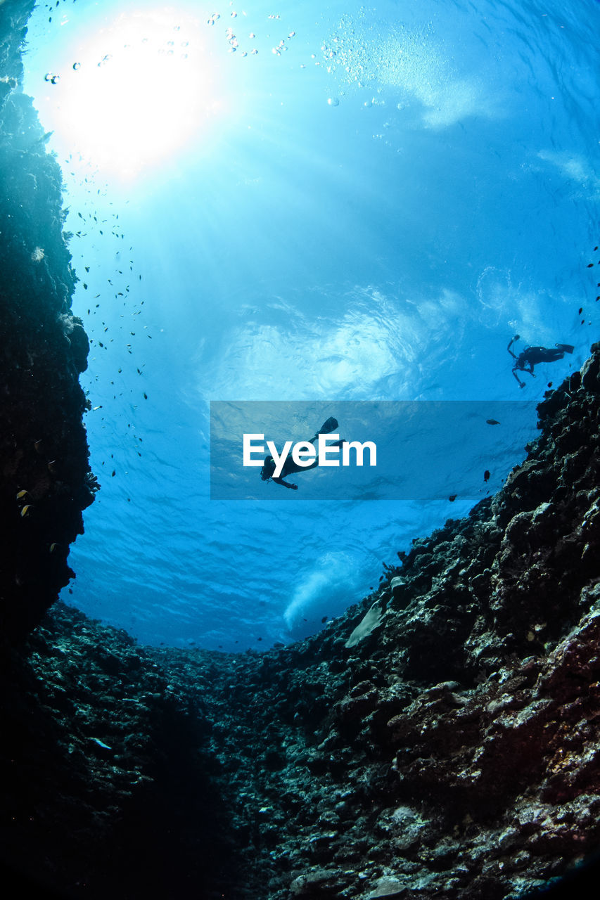 Low angle view of person diving in sea