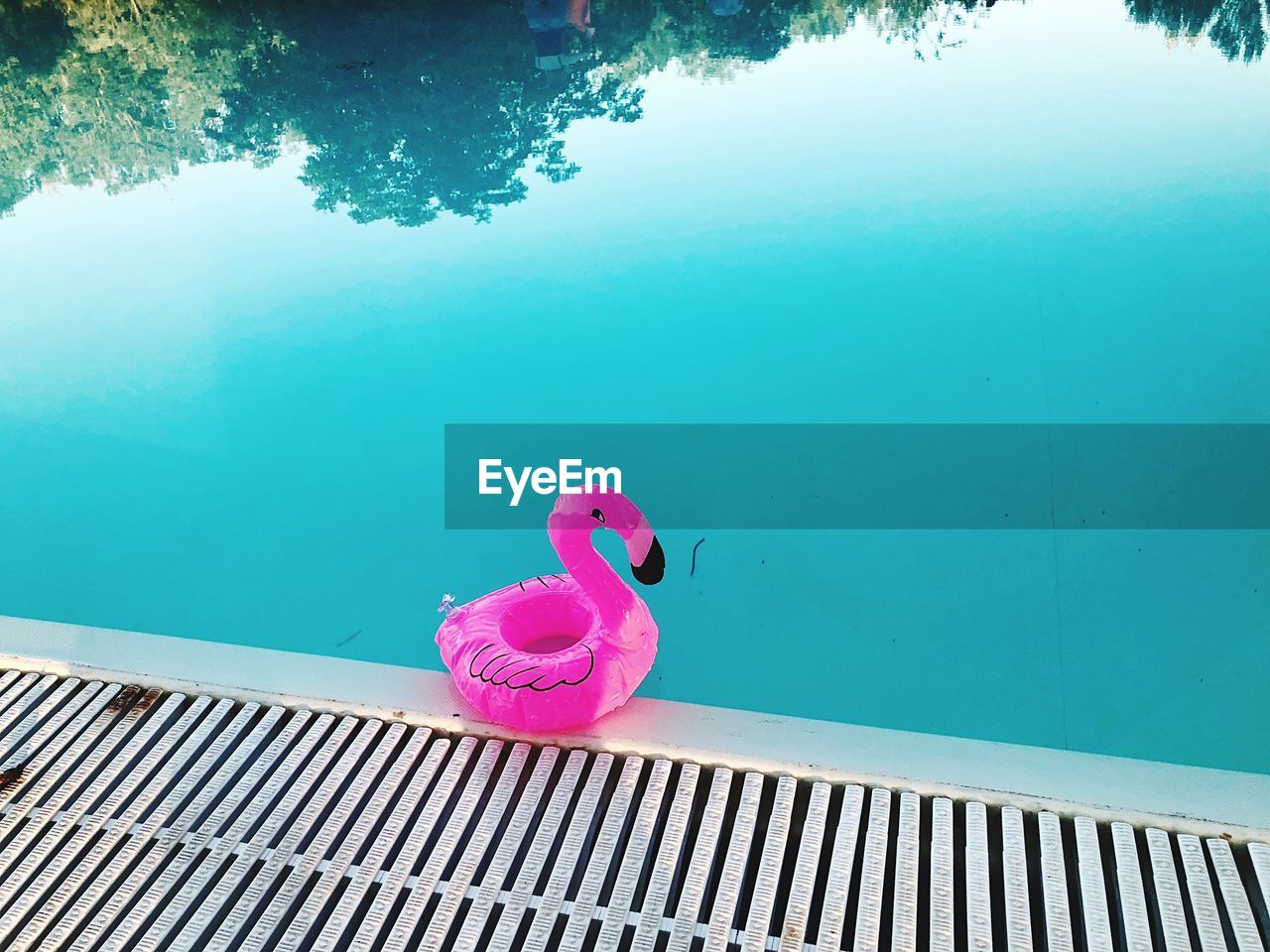 High angle view of flamingo toy in swimming pool