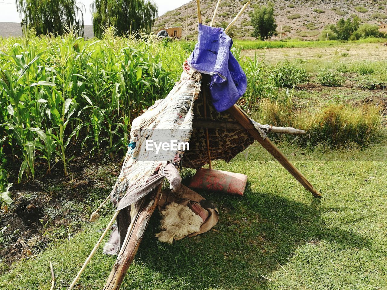 REAR VIEW OF A YOUNG WOMAN STANDING ON GRASS