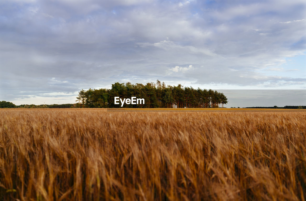 Scenic view of field against cloudy sky