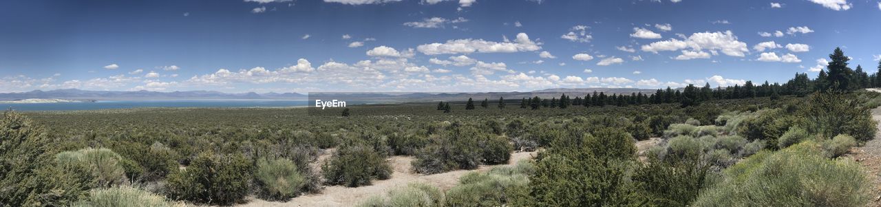 Panoramic view of field against sky