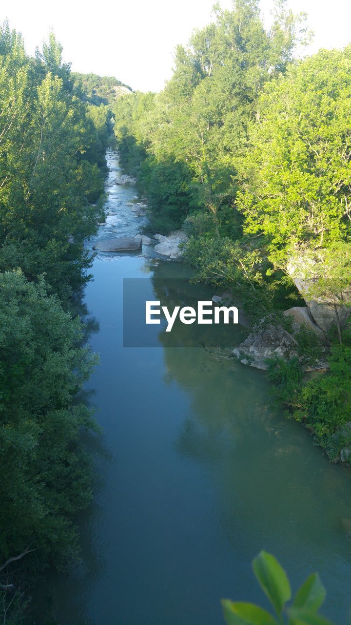 RIVER AMIDST TREES IN FOREST AGAINST SKY