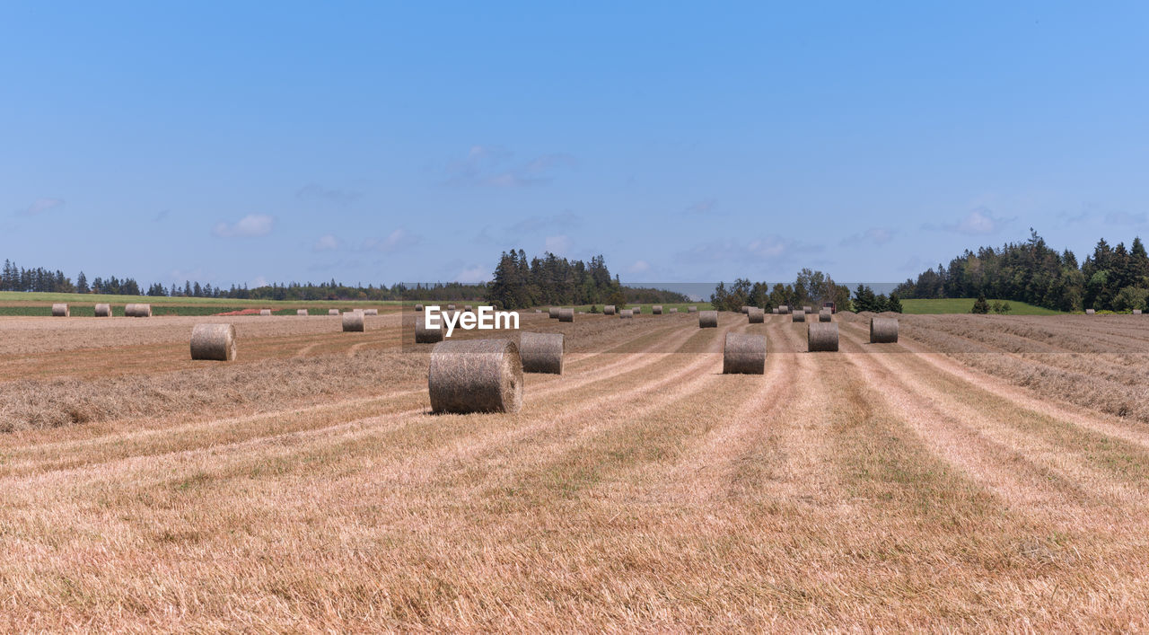 Hay bales on field against sky