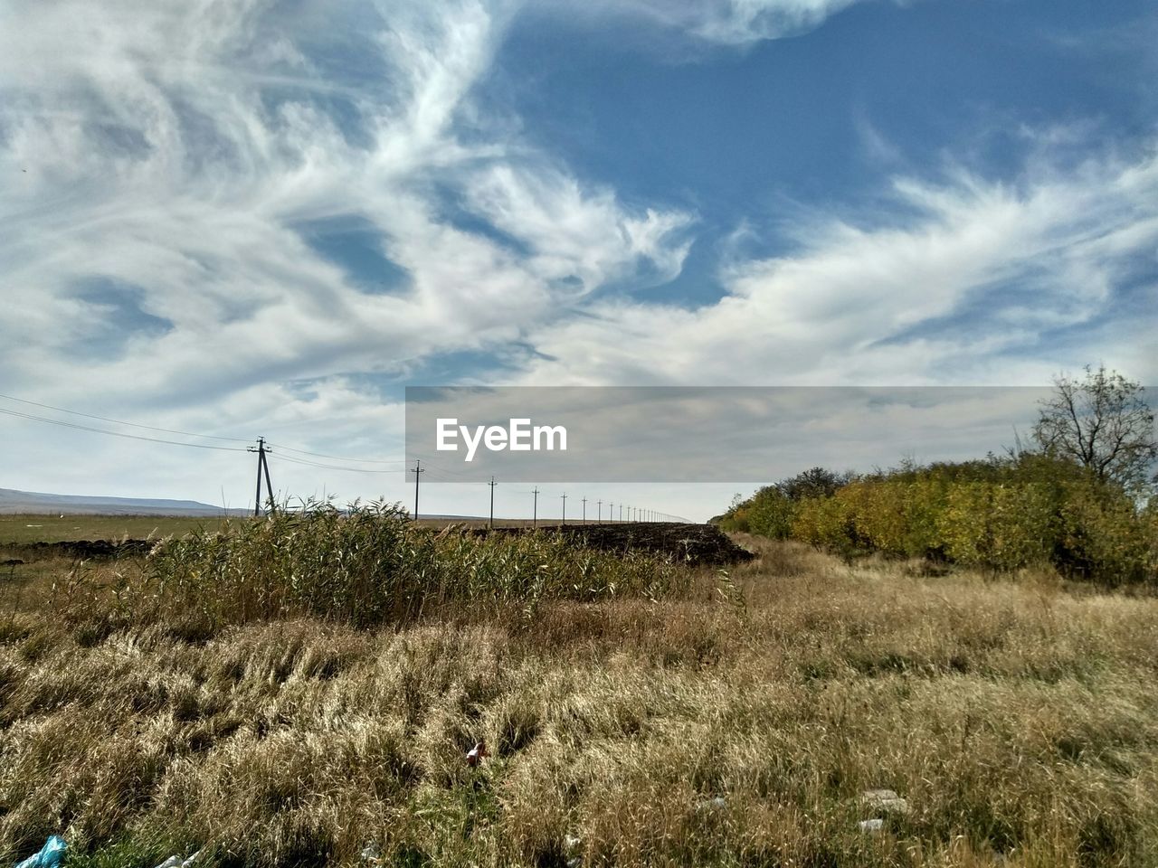 FIELD AGAINST SKY