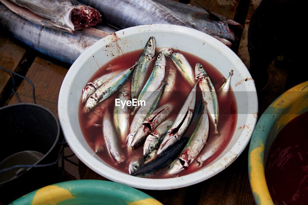 High angle view of dead sardines in bucket for sale at fish market