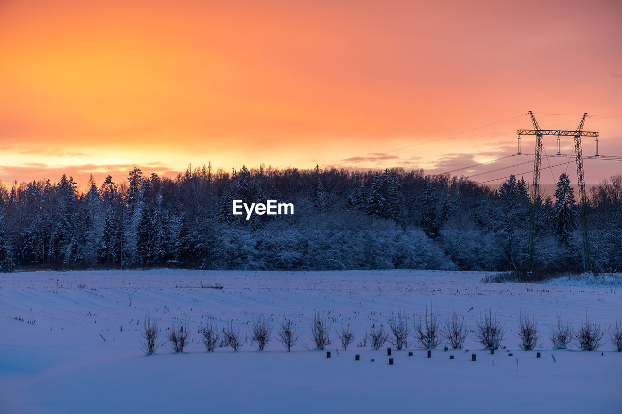 winter, snow, cold temperature, sky, environment, sunset, tree, scenics - nature, landscape, beauty in nature, nature, plant, tranquil scene, tranquility, land, dawn, non-urban scene, no people, cloud, coniferous tree, forest, frozen, rural scene, freezing, idyllic, pinaceae, frost, pine tree, evening, sun, pine woodland, orange color, twilight, sunlight, woodland, field, outdoors, mountain, horizon, remote, silhouette, water, reflection