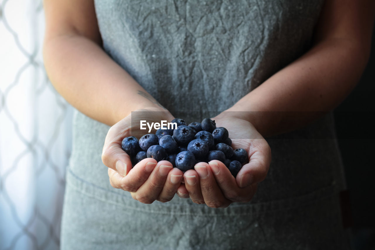 Midsection of woman holding blueberries 