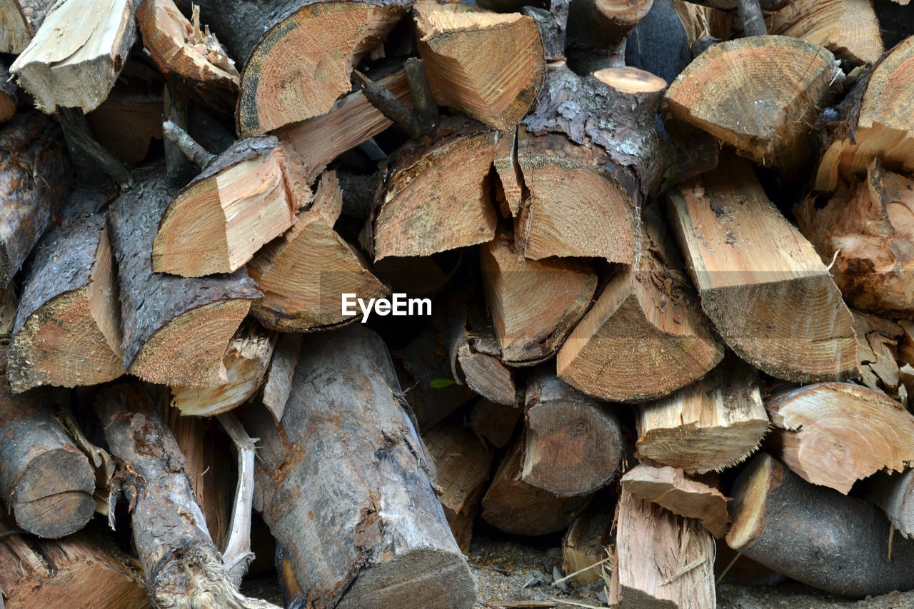 FULL FRAME SHOT OF FIREWOOD IN FOREST