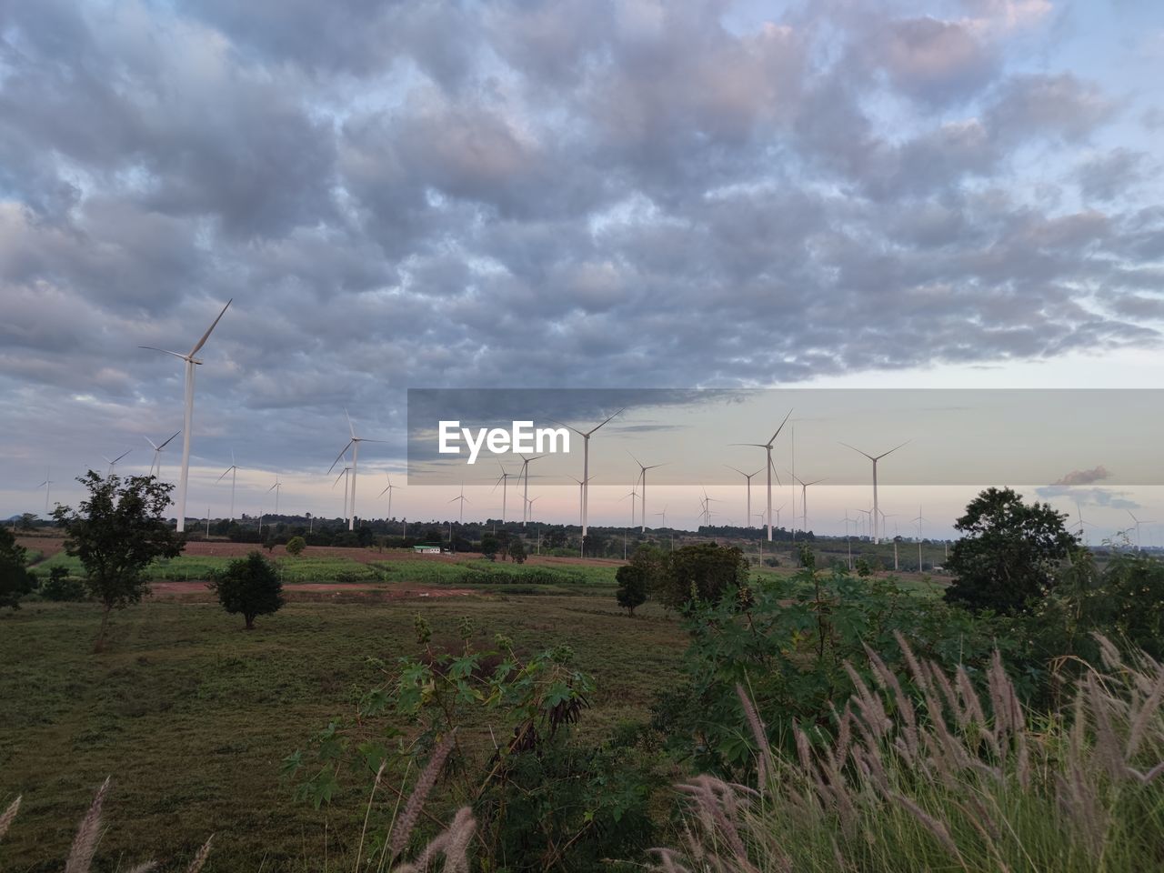 scenic view of field against cloudy sky