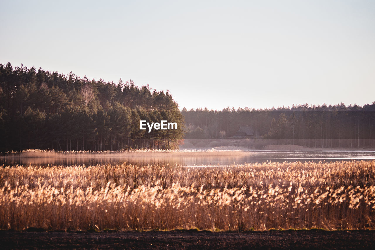 Scenic view of lake against clear sky