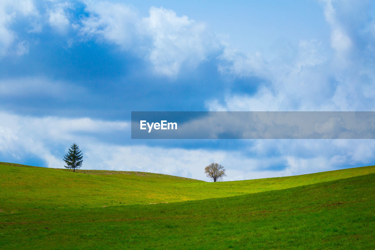 sky, grassland, environment, landscape, nature, cloud, grass, plant, hill, horizon, land, green, scenics - nature, beauty in nature, field, meadow, plain, prairie, pasture, non-urban scene, tranquility, tree, rural scene, no people, tranquil scene, rural area, blue, mountain range, natural environment, plateau, horizon over land, outdoors, steppe, travel destinations, summer, day, idyllic, travel, panoramic, cloudscape, environmental conservation, sunlight, agriculture, grass area, vibrant color, tourism, forest, highland, springtime, morning