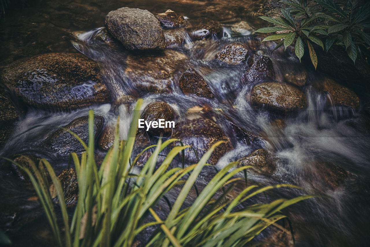 Close-up of water in a flowing stream