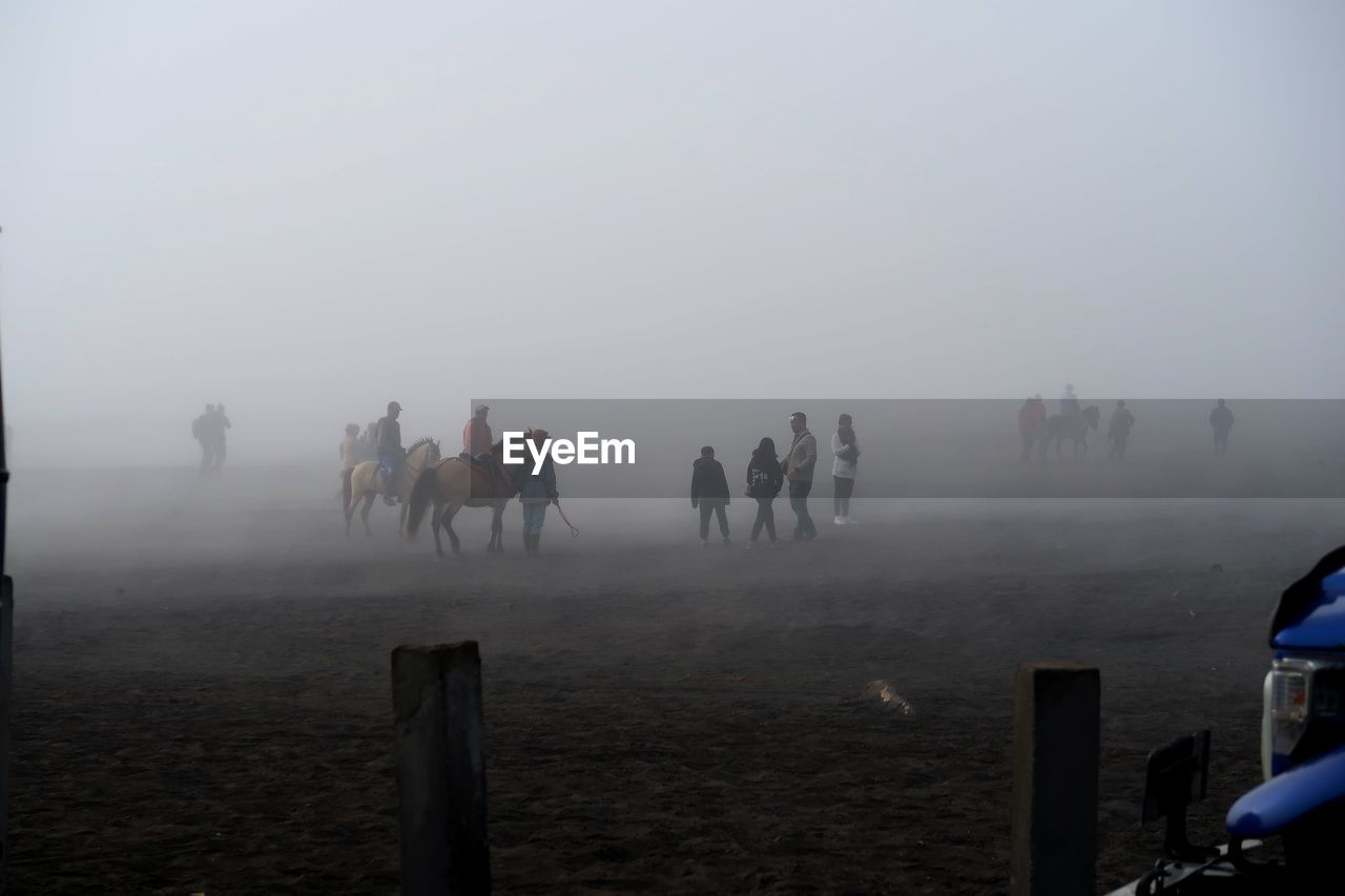 GROUP OF PEOPLE RIDING HORSES IN THE BACKGROUND