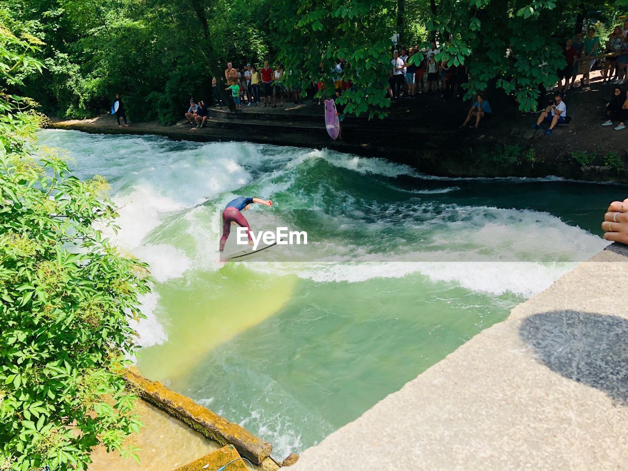 Man surfing in river amidst trees