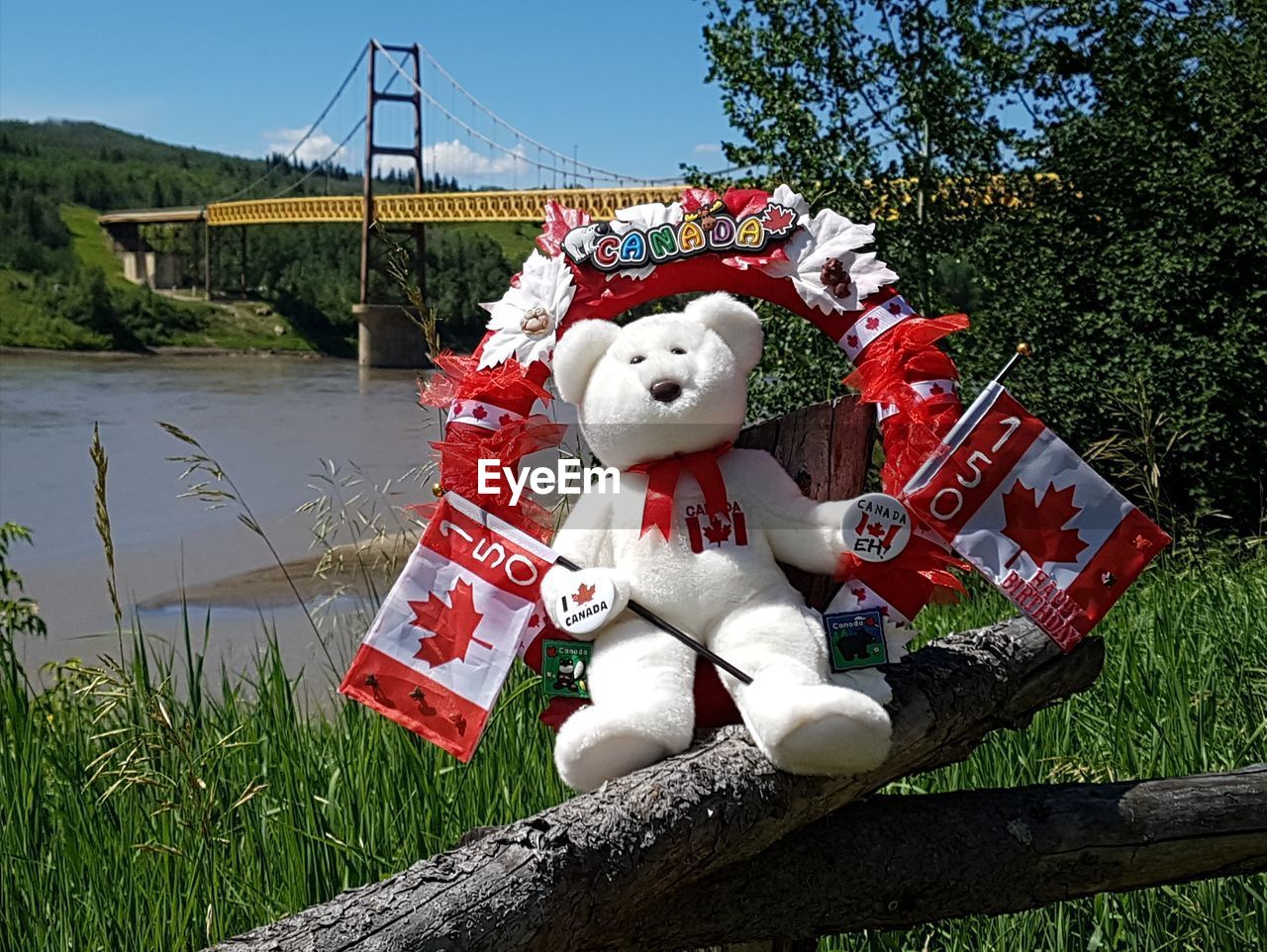 Teddy bear with flags