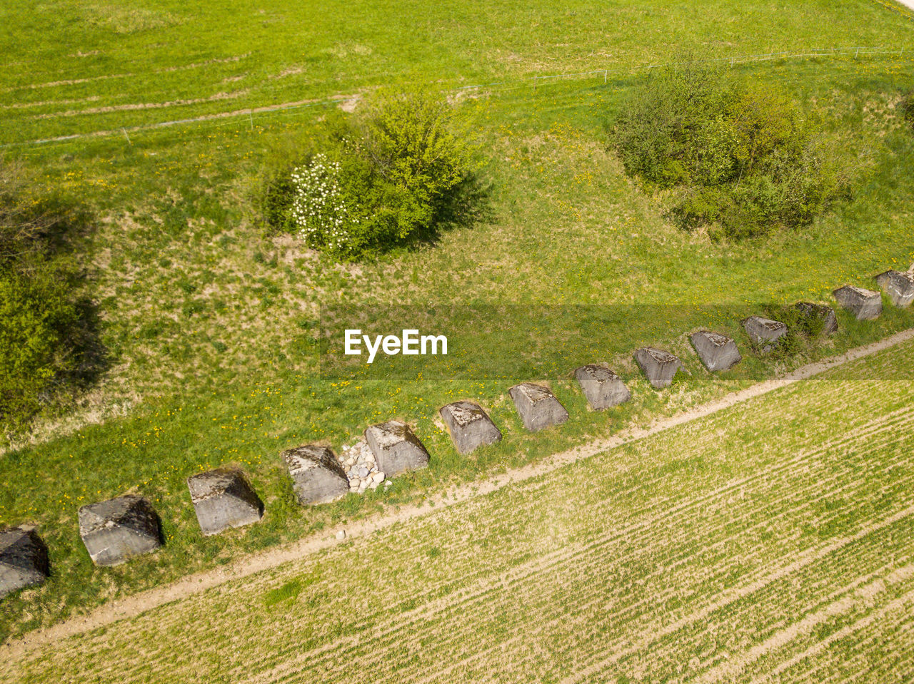 HIGH ANGLE VIEW OF GRASSY FIELD