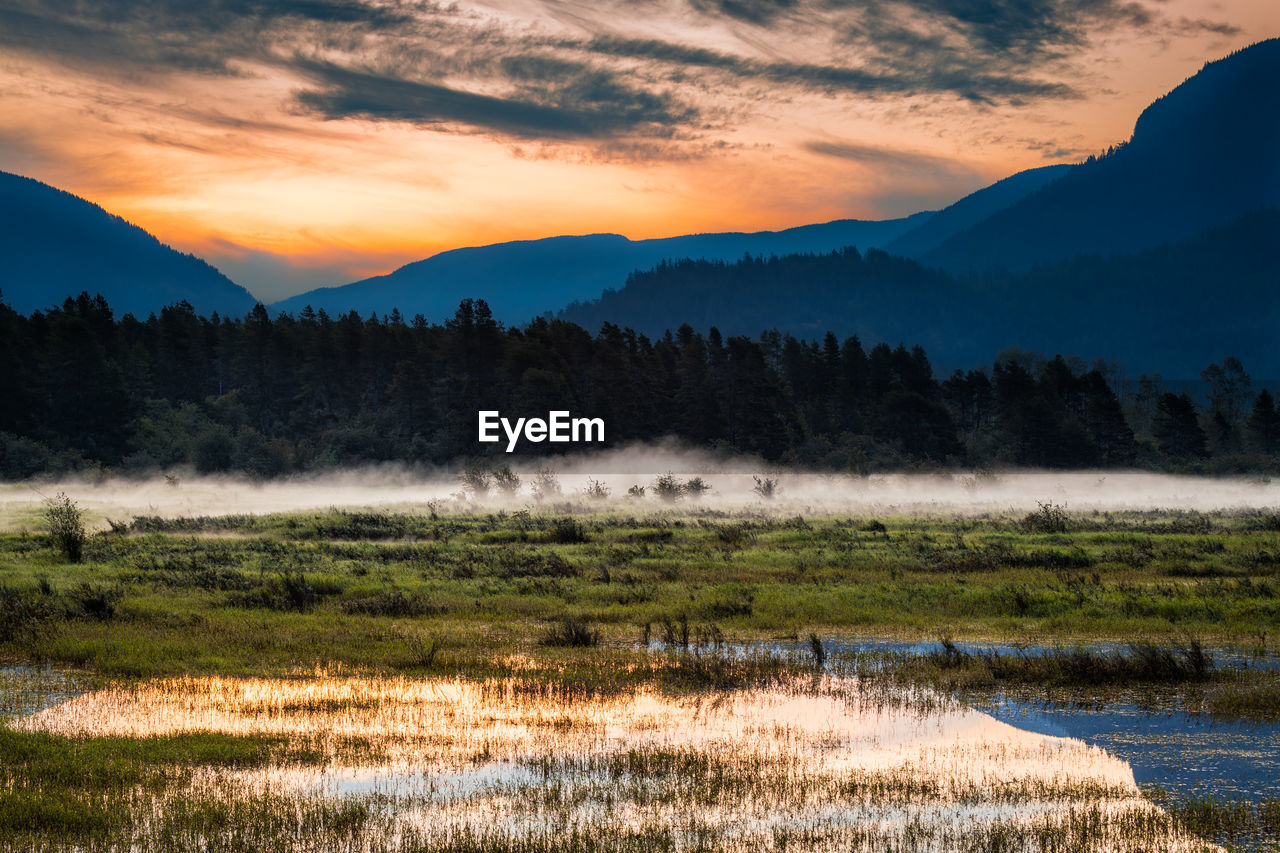 Scenic view of mist over field against sky during sunrise