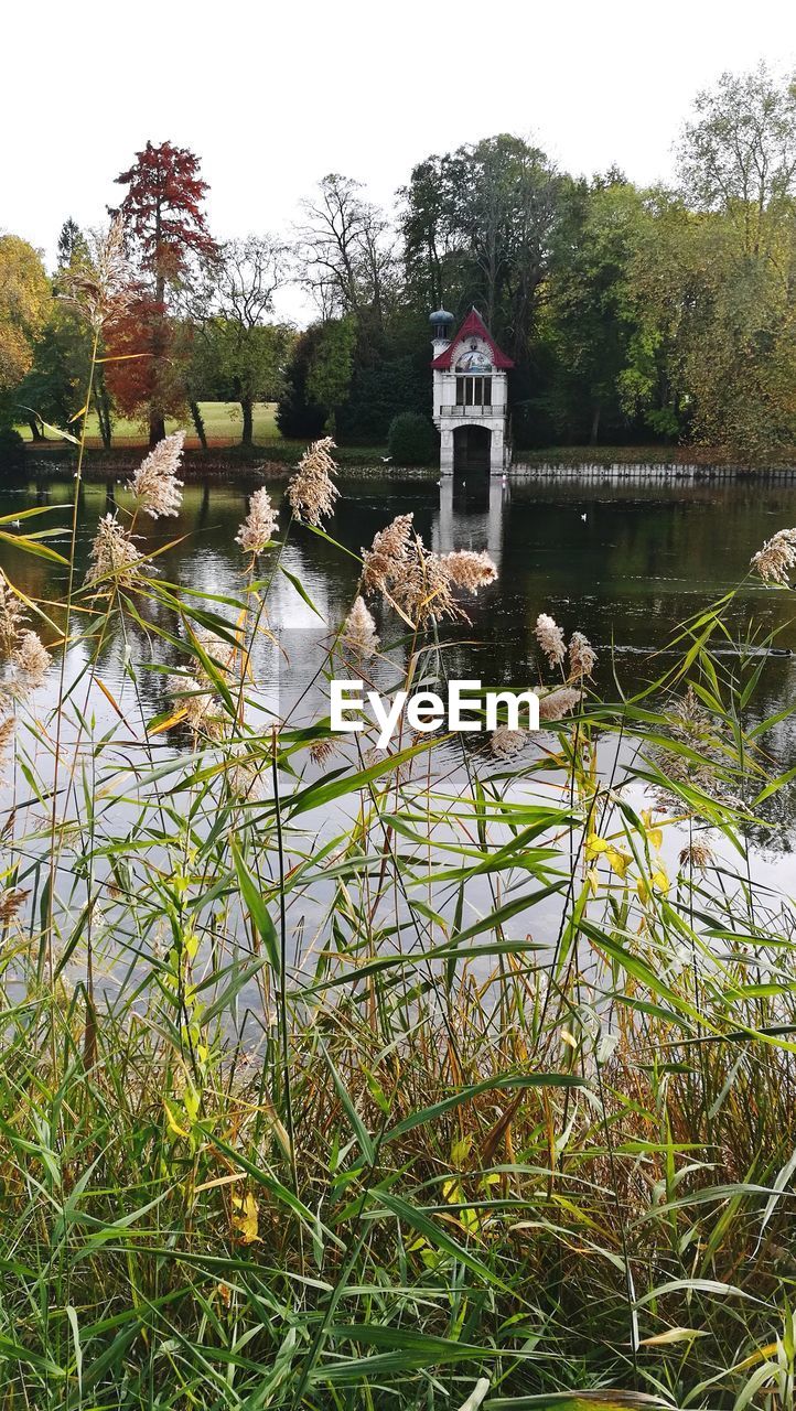 SCENIC VIEW OF LAKE AGAINST TREES